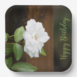 Plato De Papel Cuadrado Elegante Blanco Y Verde