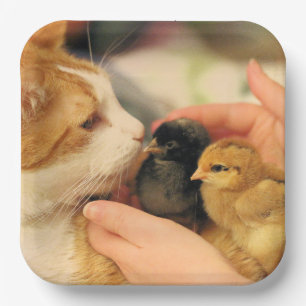 Plato De Papel Cuadros