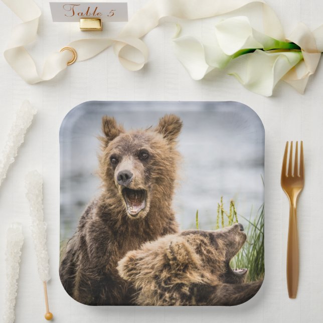 Plato De Papel Cubos Grizzly Buscando Su Mamá (Boda)