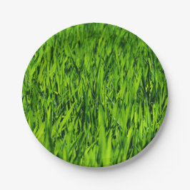 Plato De Papel Cuchillas altas de hierba