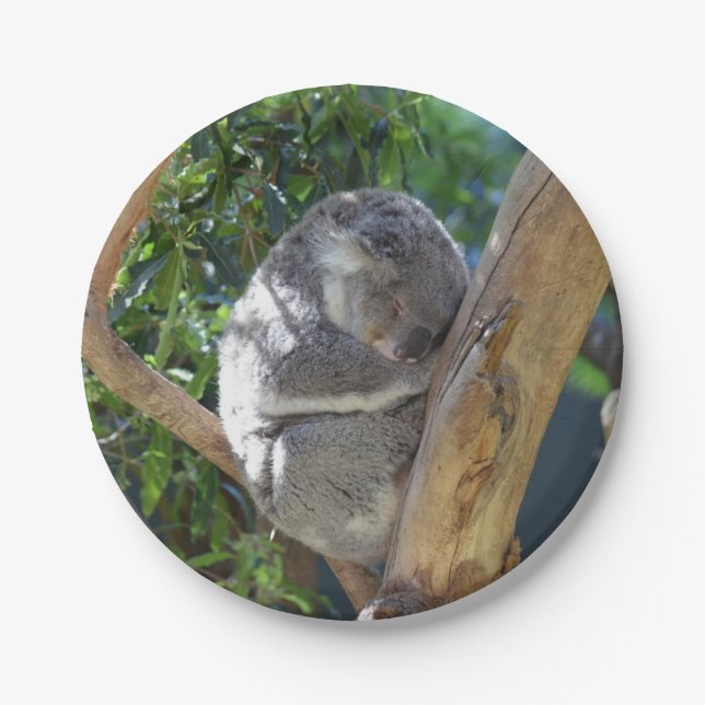 Plato De Papel Cuidada durmiendo a Koala en el árbol (Anverso)