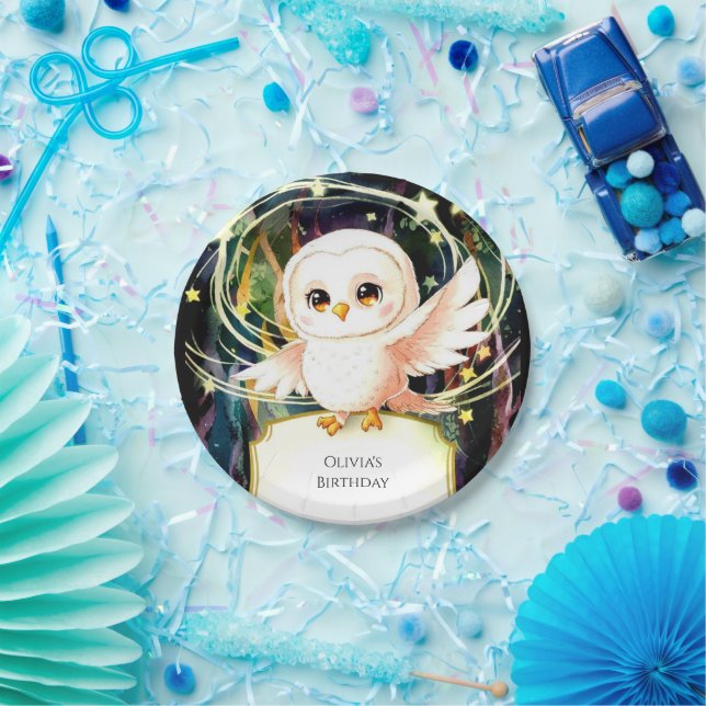 Plato De Papel Cumpleaños de búho mágico colorido (Fiesta)