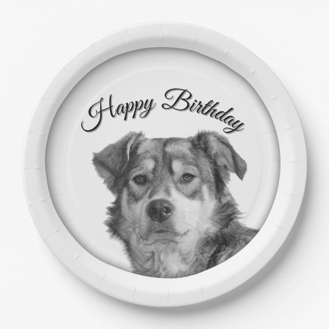 Plato De Papel Cumpleaños de Canino Mestizo Monocromo Refinado (Anverso)