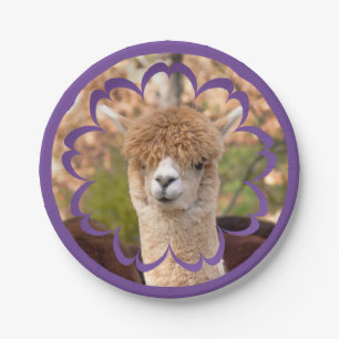 Plato De Papel Cumpleaños de la alpaca placa de papel de 7