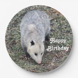 Plato De Papel Cumpleaños de la foto de Opossum