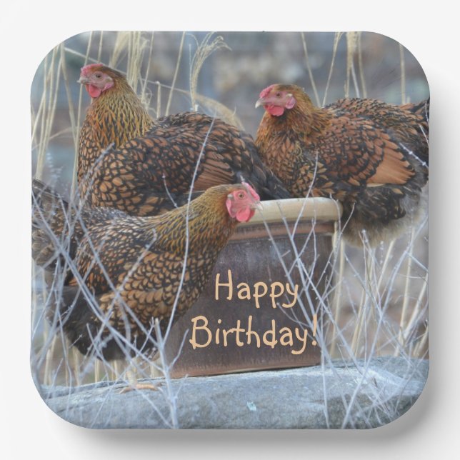 Plato De Papel Cumpleaños de Silly Chickens (Anverso)