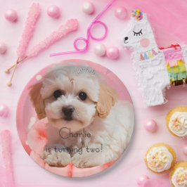 Plato De Papel Cumpleaños Perro Fiesta 