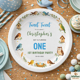Plato De Papel Cute Birds 1st Birthday Party – Fun Kids 
