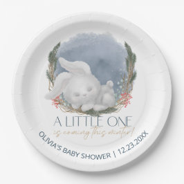 Plato De Papel Cute Bunny Snowly Winter Baby Shower