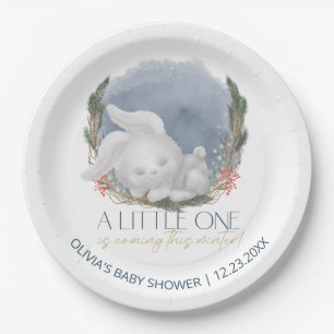 Plato De Papel Cute Bunny Snowly Winter Baby Shower