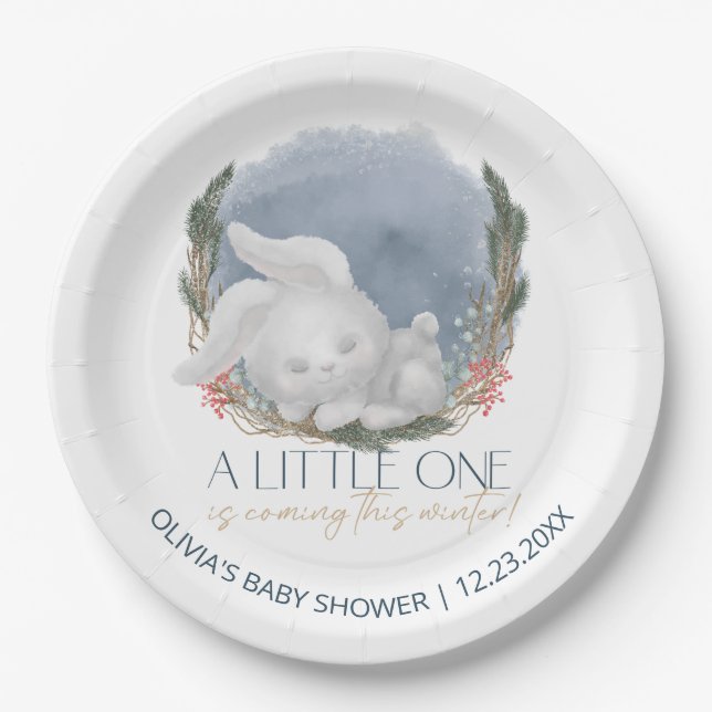 Plato De Papel Cute Bunny Snowly Winter Baby Shower (Anverso)