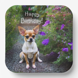 Plato De Papel Cute Chihuahua