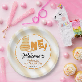 Plato De Papel Cute Fat Orange Cat 1st Birthday