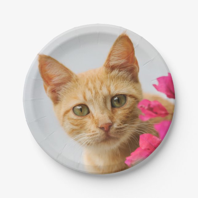 Plato De Papel Cute Ginger Kitten, Fiesta (Anverso)