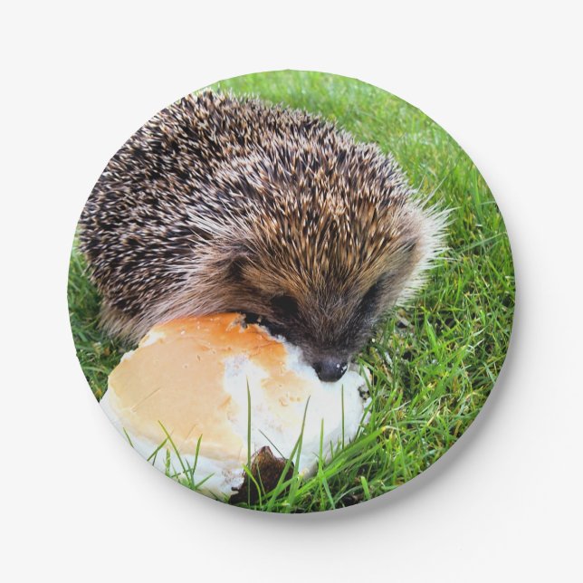 PLATO DE PAPEL CUTE HEDGEHOG (Anverso)
