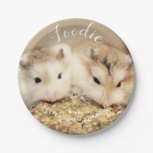 Plato De Papel Cute Robo Hamsters Foodie