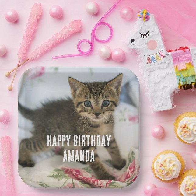 Plato De Papel Cute Tabby Kitten parece sorprendido por el cumple (Fiesta)