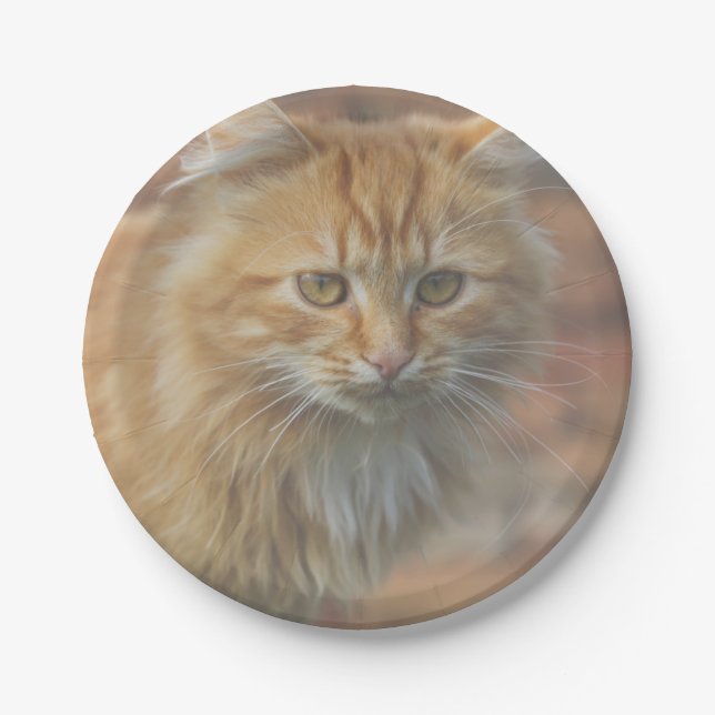 Plato De Papel Cuto Funky Ginger Cat Kitten Face (Anverso)