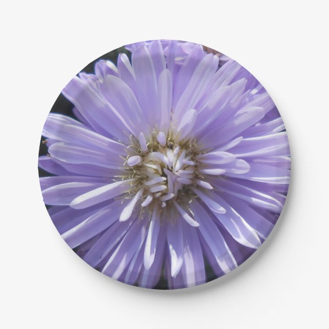 Plato De Papel Cyrene (Anverso)