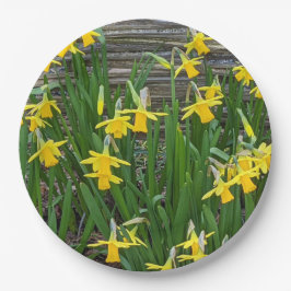 Plato De Papel Daffodil amarillo florece