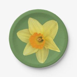 Plato De Papel Daffodil de primavera amarilla