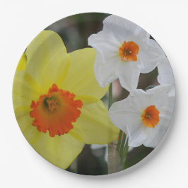 Plato De Papel Daffodil de primavera florece