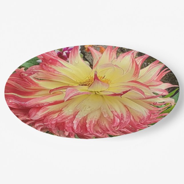 Plato De Papel Dahlia rosa y amarilla (Angular)