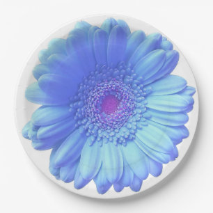 Plato De Papel Daisy gerbera azul