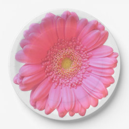 Plato De Papel Daisy gerbera rosada