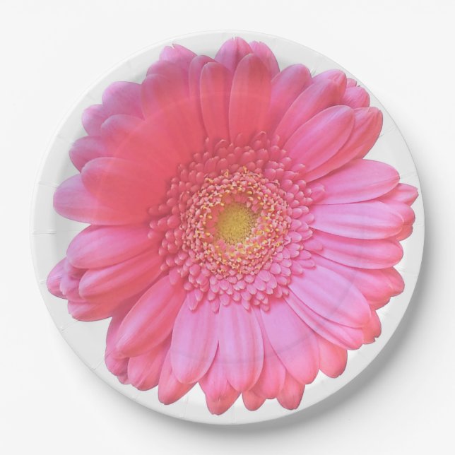 Plato De Papel Daisy gerbera rosada (Anverso)
