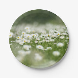 Plato De Papel Daisy Meadow