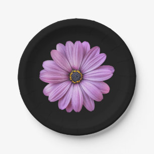 Plato De Papel Daisy morado en placas de papel Fiesta negro