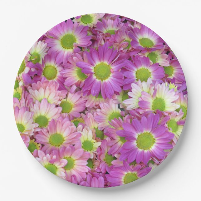 Plato De Papel Daisy pintado (Anverso)