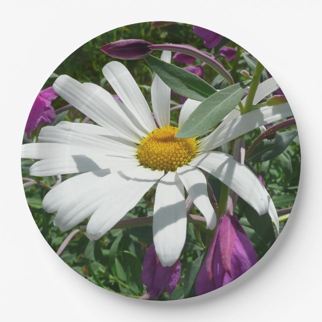 Plato De Papel Daisy y Fireweed Wildflower (Anverso)