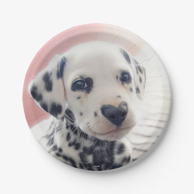Plato De Papel Dalmatian Heart Nose (Anverso)
