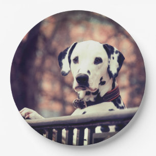 Plato De Papel Dalmatiano