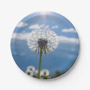 Plato De Papel Dandelion En La Luz