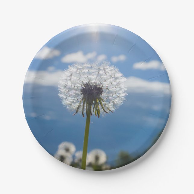Plato De Papel Dandelion En La Luz (Anverso)