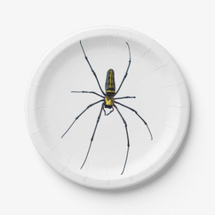 Plato de papel de araña de Halloween