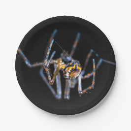 Plato de papel de araña de Halloween
