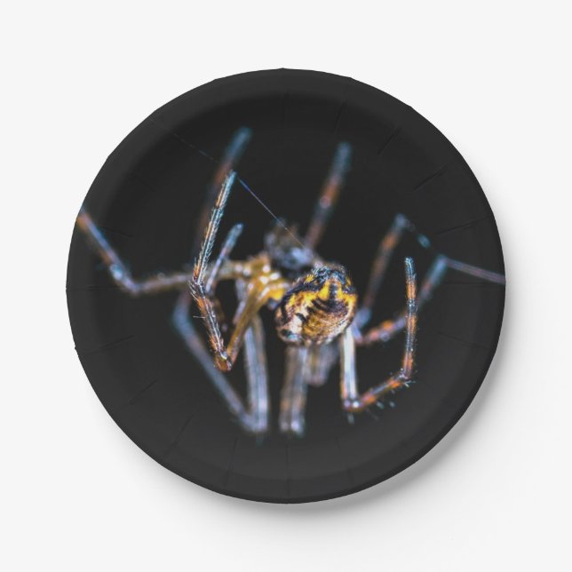 Plato de papel de araña de Halloween (Anverso)