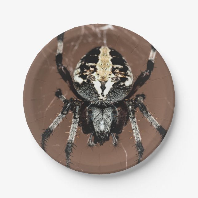 Plato de papel de araña de Halloween (Anverso)