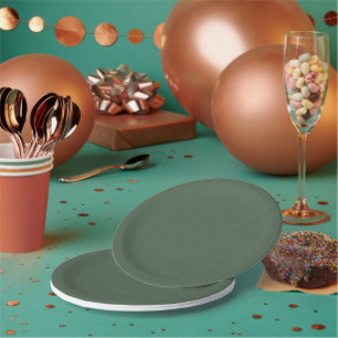 Plato de papel de fiesta redondo de 7 pulgadas con