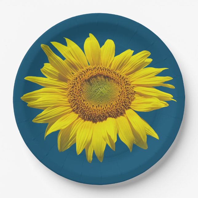 Plato de papel de girasol azul turquesa (Anverso)