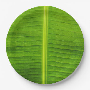 Plato de papel de hoja de plátano