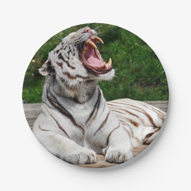 Plato de papel de tigre blanco de Bengala (Anverso)
