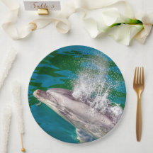 Delfín En Milford Sound, Nueva Zelanda