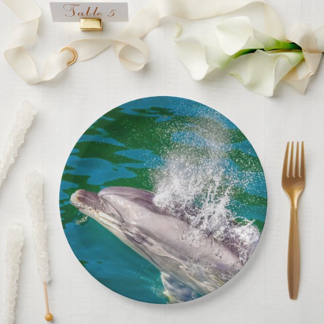 Plato De Papel Delfín En Milford Sound, Nueva Zelanda (Boda)