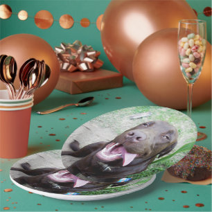 Plato De Papel Delicias Goofy: Cachorros de chocolate marrón,