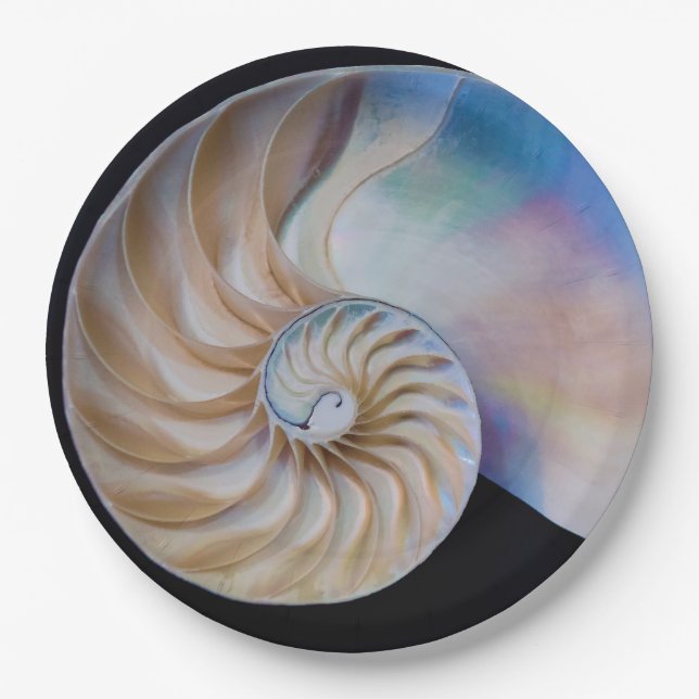 Plato De Papel Dentro Del Nautilus (Anverso)